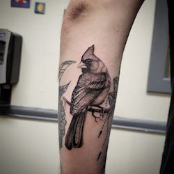 san marcos tattoo emporium